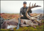 Paul Pars Alaska Caribou