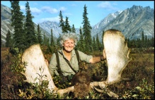 Liesel Schwarze's Alaska Moose