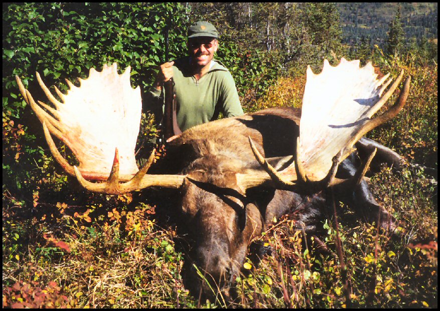 Wolfgang's 66" Alaska moose